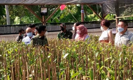 Jaga Perbaikan Kinerja Debitur, Restrukturisasi Kredit Diperpanjang Hingga Maret 2023