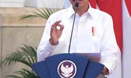 Presiden Jokowi Dorong Peningkatan Nilai Tambah Industri di Tanah Air