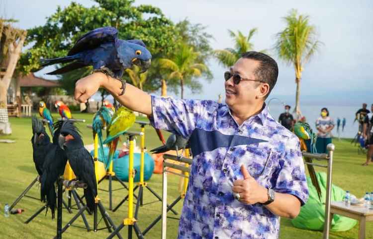 Bamsoet Gelar Lomba Free Fly Burung Paruh Bengkok Rebut Piala Ketua MPR RI Bamsoet Gelar Lomba Free Fly Burung Paruh Bengkok Rebut Piala Ketua MPR RI