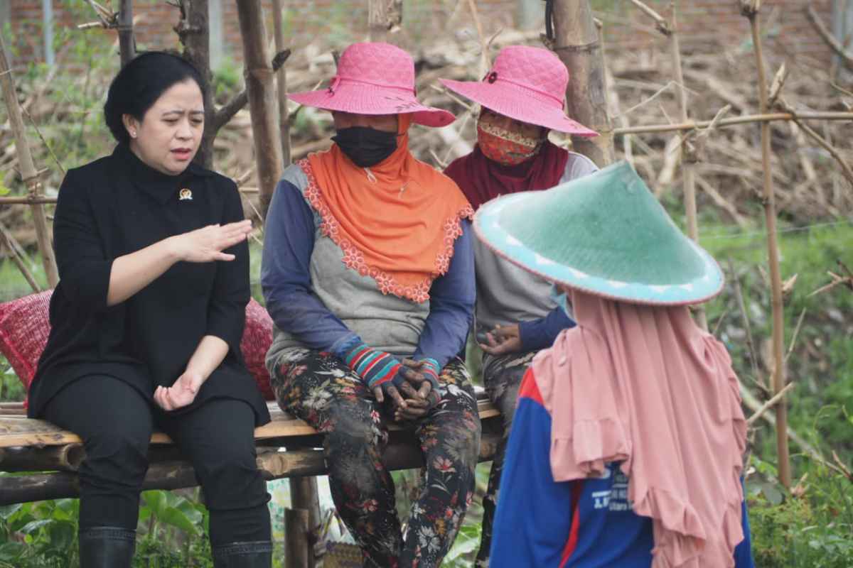 Puan Desak Aparat Berantas Sindikat Mafia Pupuk Bersubsidi