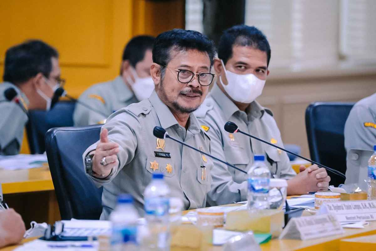 Stop Impor Beras dan Jagung, Komite II DPD RI Apresiasi Kinerja Kementan RI