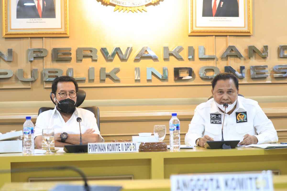 Komite II DPD RI Apresiasi Kinerja Kementerian LHK Tahun 2021 Komite II DPD RI Apresiasi Kinerja Kementerian LHK Tahun 2021