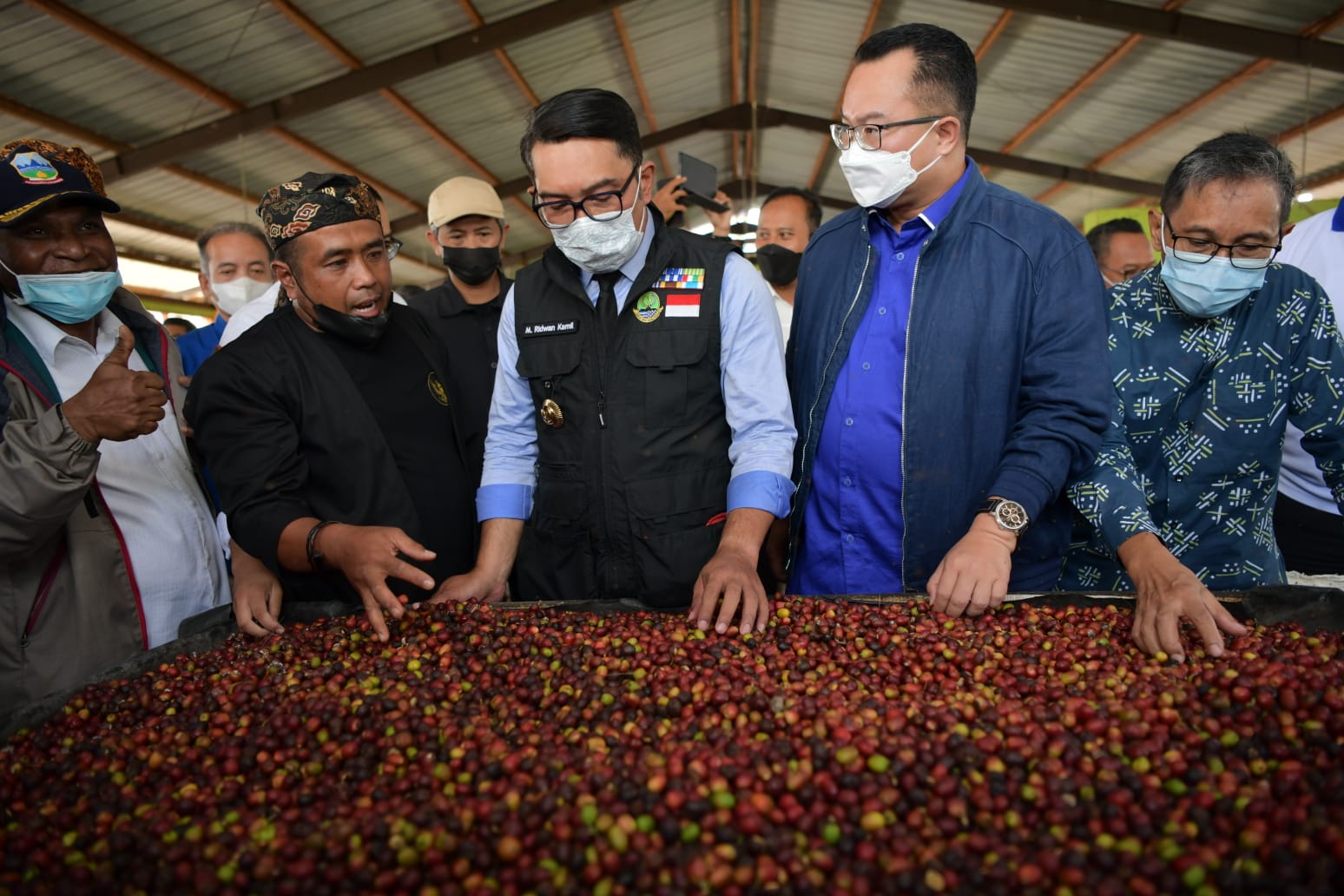 Ridwan Kamil Lepas Ekspor Kopi Garut ke Belanda Ridwan Kamil Lepas Ekspor Kopi Garut ke Belanda