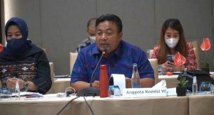 Anggota Komisi VI DPR, I Nyoman Parta/Foto: Anjasmara