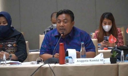 Anggota Komisi VI DPR, I Nyoman Parta/Foto: Anjasmara
