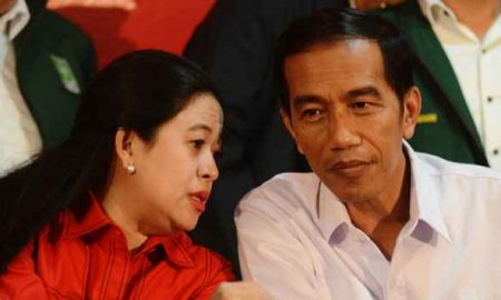 Pengamat: Puan Maharani Lebih Tepat Lanjutkan Program Jokowi