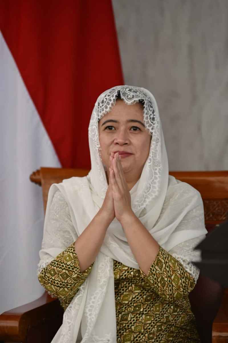 Cegah PMK, Puan Minta Vaksinasi Hewan Ternak Dipercepat Cegah PMK, Puan Minta Vaksinasi Hewan Ternak Dipercepat