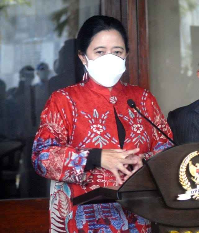 Sosok Plural, Pengamat: Puan Maharani Pemimpin Berkualitas