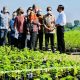 Jokowi Akan Bangun 600 Ribu Pusat Mangrove Dunia, Pengamat: Itu Sangat Strategis dan Positif