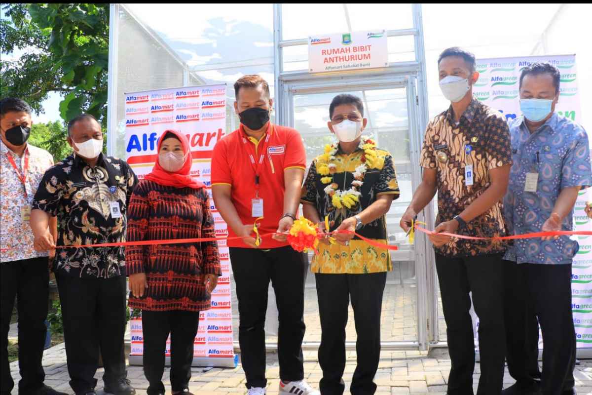 Gandeng Alfamart-KWT, Sachrudin Lakukan Gerilya Politik?