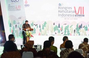 Airlangga: Kebijakan Multiusaha Kehutanan Bisa Jadi Solusi Airlangga: Kebijakan Multiusaha Kehutanan Bisa Jadi Solusi