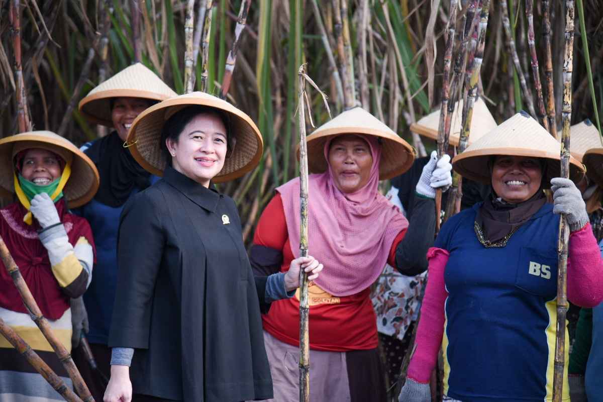Minta PG Sindanglaut Beroperasi, Puan: Petani Tebu Berperan Bangkitkan Kemandirian Gula