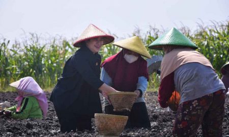 Wacana Cabut Subsidi Pupuk, Puan Ingatkan Dampak Produksi dan Harga Bawang