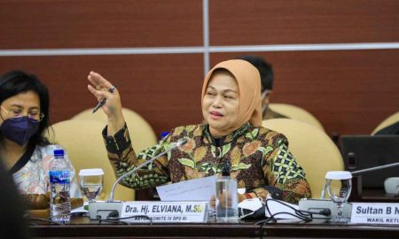 Komite IV DPD RI Dorong Perbaikan DTKS Agar Capaian Kinerja Pembangunan Terukur