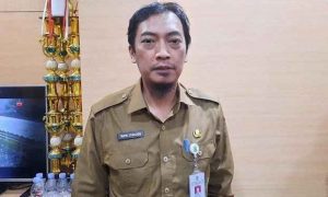 Selama 8 Bulan, Kepala DPMPTSP Tangerang, Taufik: Sudah 9.154 NIB Diterbitkan