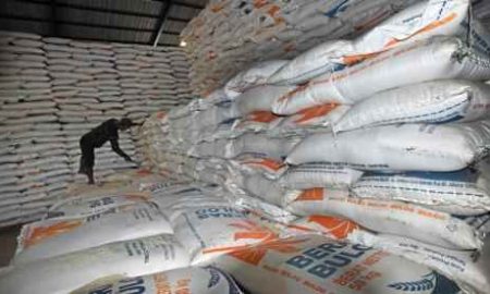 Raih Penghargaan IRRI, Pengamat Apresiasi Keberhasilan Pemerintah Wujudkan Swasembada Beras