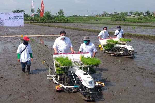 Ekonom: Perkuat Stok Pangan Guna Minimalisir Inflasi Ketua umum Partai Golkar, Airlangga Hartarto sedang menanam padi