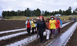 Survei: Mayoritas Pendukung Puan Maharani Warga Pedesaan