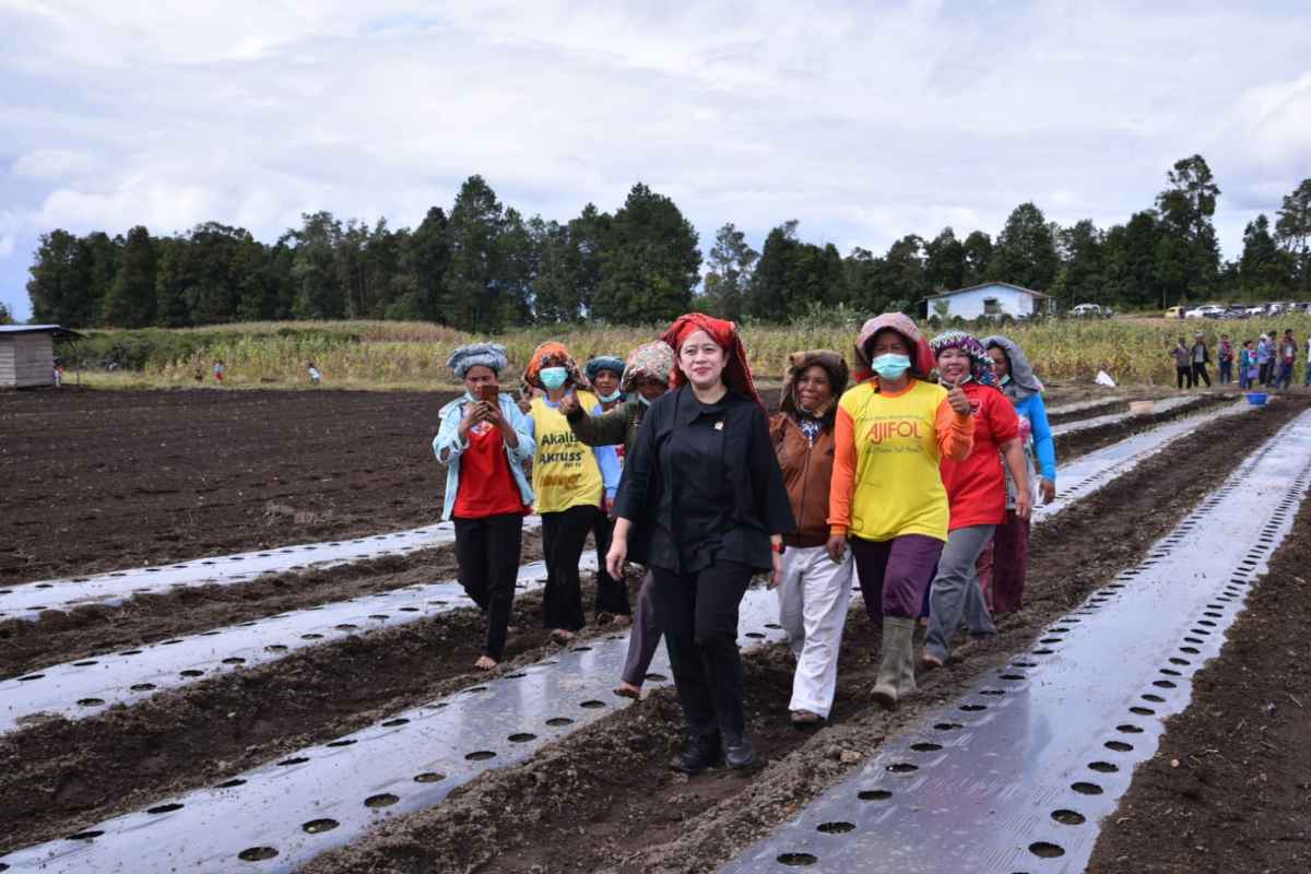 Survei: Mayoritas Pendukung Puan Maharani Warga Pedesaan Survei: Mayoritas Pendukung Puan Maharani Warga Pedesaan