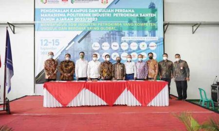sektor industri petrokimia
