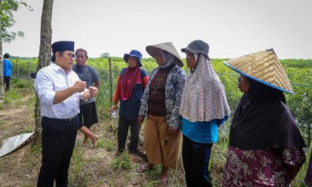 Langka, Wakil Ketua DPR RI Ini Serukan Revolusi Pupuk