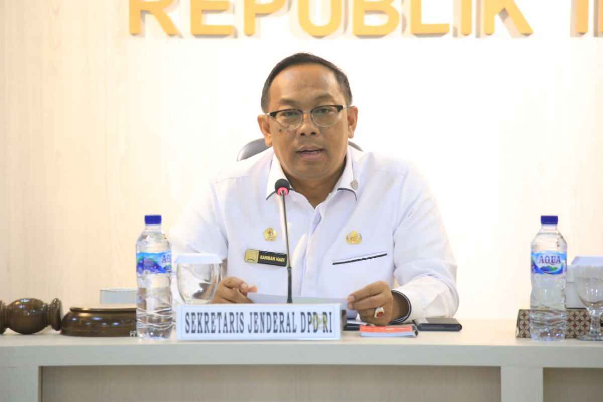 Setjen DPD RI Terima Masukan BRIN Terkait RUU Pemerintahan Digital Setjen DPD RI Terima Masukan BRIN Terkait RUU Pemerintahan Digital