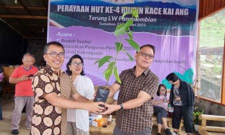 Peduli Lingkungan, Senator Stefanus Liow Bantu Ribuan Bibit Pohon