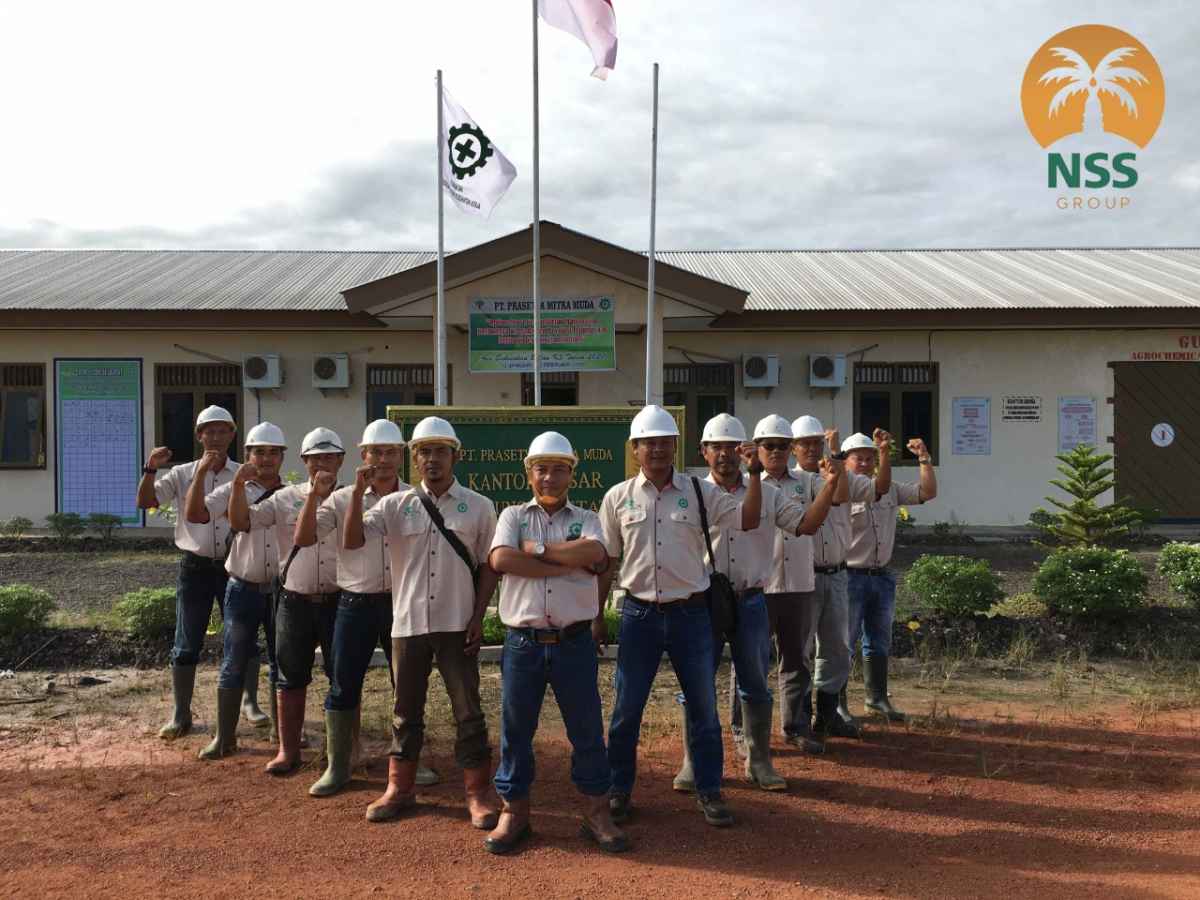IPO, Harga Saham Nusantara Sawit Sejahter Rp127/Saham IPO, Harga Saham Nusantara Sawit Sejahter Rp127/Saham