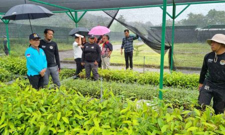 Senator SBANL Usul Buka Akses Pariwisata Sekitar Lokasi Persemaian Modern Batuputih Bitung