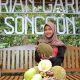 Pasar Durian Garden Melonjak Paska Dikelola Lewat Startup Pertanian