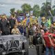 Ridwan Kamil Lepas Kirab Budaya dan Karnaval Pembangunan Ridwan Kamil Lepas Kirab Budaya dan Karnaval Pembangunan