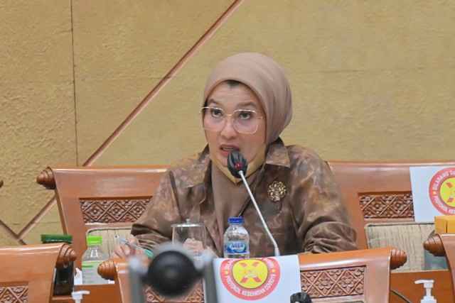 Ritual Maut di Danau Kuari, Arzeti FPKB Minta Pemerintah Jemput Bola untuk ODGJ