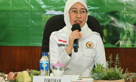 Pupuk Biosaka Terbukti Menyuburkan Tanaman Kedelai