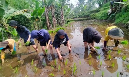 Aplikasi Teknologi Bikin Millenial Tertarik Geluti Bisnis Pertanian