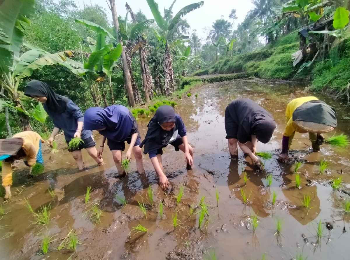 Aplikasi Teknologi Bikin Millenial Tertarik Geluti Bisnis Pertanian Aplikasi Teknologi Bikin Millenial Tertarik Geluti Bisnis Pertanian