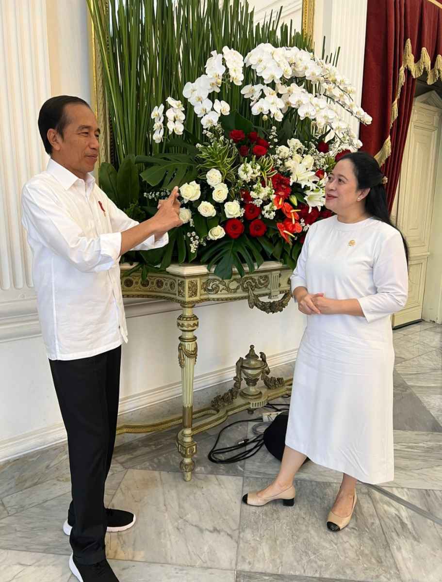 Puan Temui Jokowi Usai Bertemu Gibran Kemarin, Ada Apa?