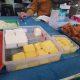 Perkuat Food System, Perusahaan Makanan Dukung Startup Pangan Berkelanjutan