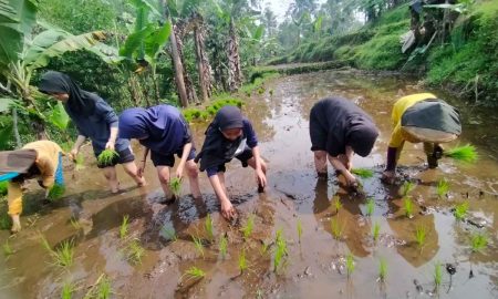 ST 2023 Jadi Landasan Menuju Kedaulatan Pangan