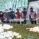 Diprediksi Beroperasi 2025, BSD City Park Bakal Jadi Destinasi Wisata dan Edukasi