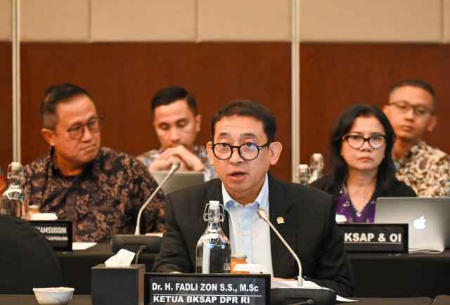 BKSAP DPR RI Dukung Gugatan Afsel terhadap Israel di Mahkamah Internasional PBB