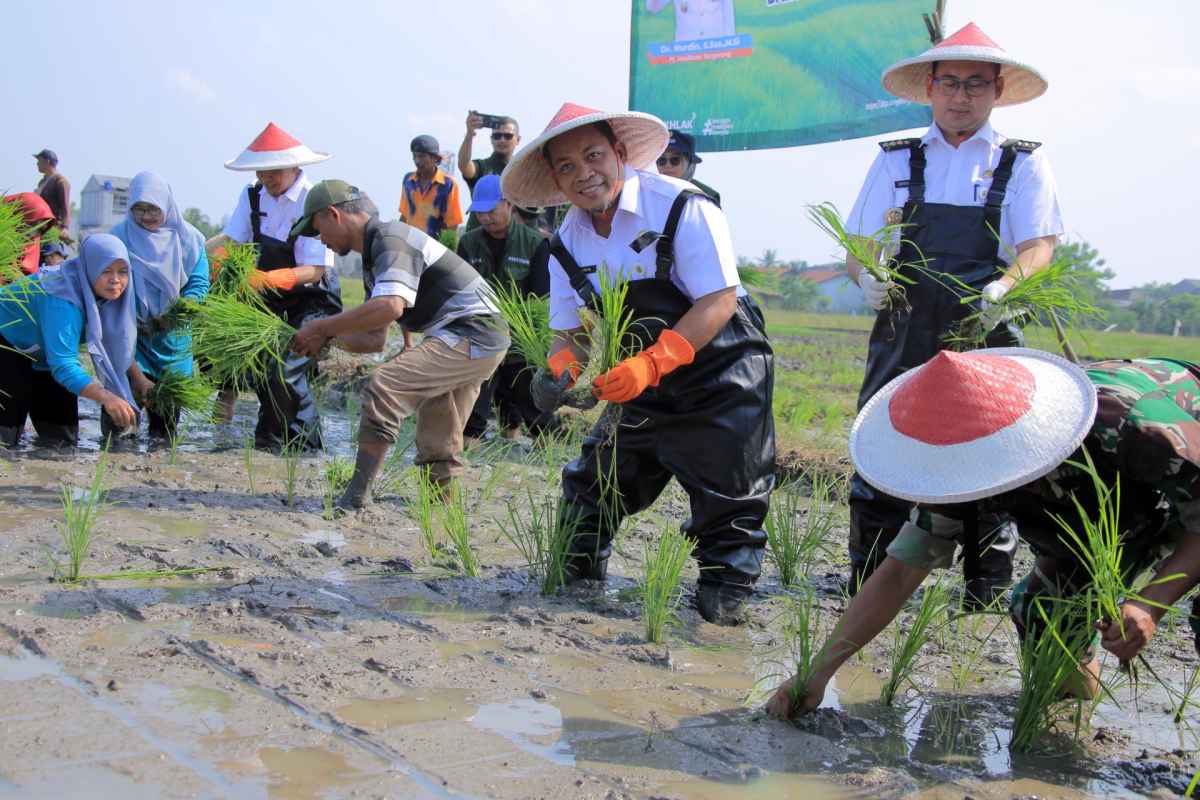 Pertanian Urban Jadi Peluang Menambah Pendapatan Warga Kota Tangerang Pertanian Urban Jadi Peluang Menambah Pendapatan Warga Kota Tangerang