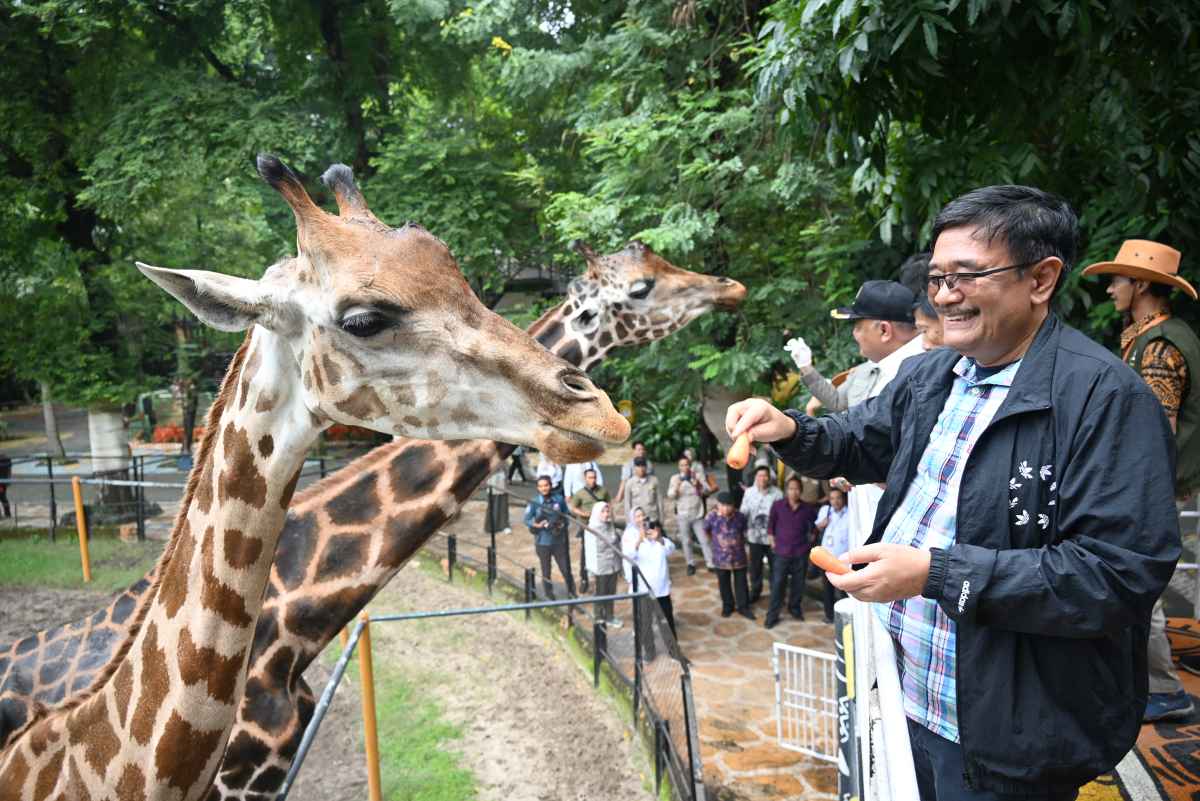 Berhasil Kembang Biakkan Komodo, Kebun Binatang Surabaya Jadi Kebanggaan Warga Jatim Berhasil Kembang Biakkan Komodo, Kebun Binatang Surabaya Jadi Kebanggaan Warga Jatim