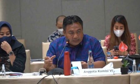 Kisruh Harga Beras, Legislator Ramai-Ramai Semprot Habis Mendag dan Dirut Bulog