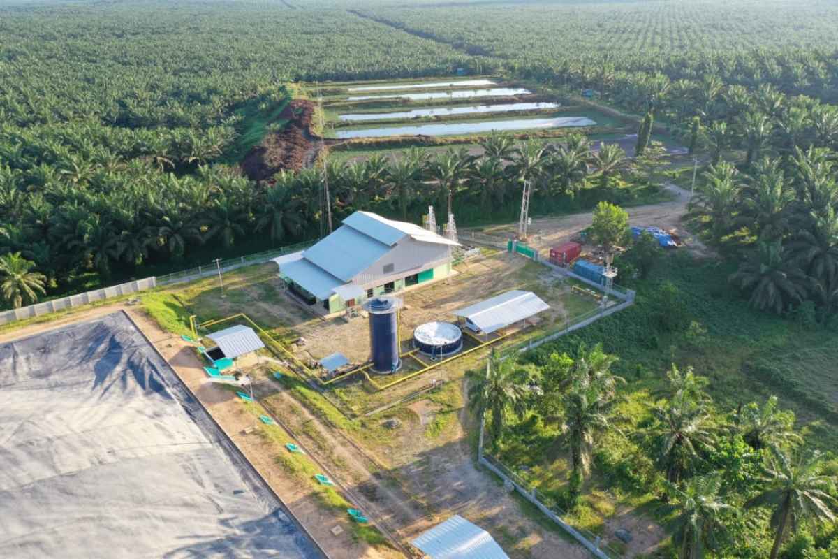 Kuartal I 2024, BWPT Raup Laba Bersih Rp50,89 Miliar Kuartal I 2024, BWPT Raup Laba Bersih Rp50,89 Miliar