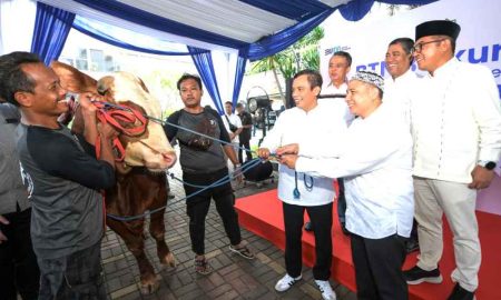 BTN Tebar 460 Ekor Hewan Kurban