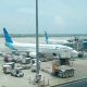 Semester I 2024, Trafik Kargo Garuda Indonesia Tembus 40,6 Persen
