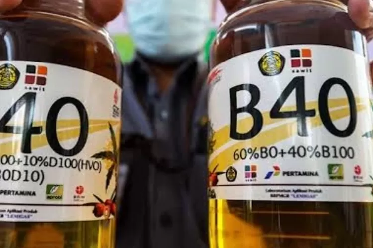 Konsumsi B40 Secara Penuh 2025, ESDM Prediksi Hemat Devisa Rp144 Triliun