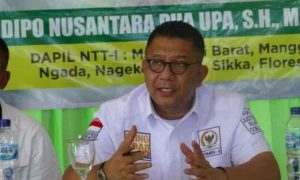 Anggota DPR Ingatkan Perusahaan Tambang Tak Beraktivitas di Luar IPPKH