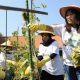 Dukung Pemberdayaan Wanita, BRI Sabet Penghargaan CSR Untuk Negeri Pada Merdeka Award 2024