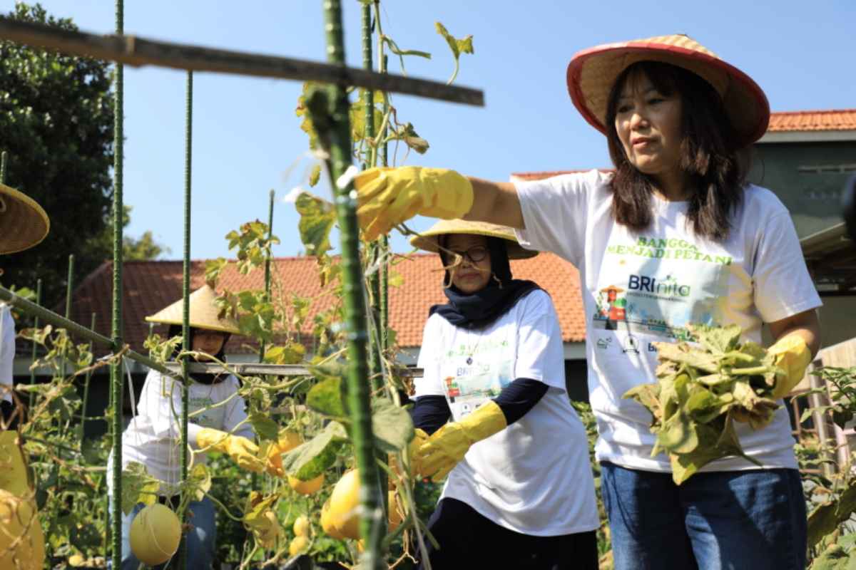 Dukung Pemberdayaan Wanita, BRI Sabet Penghargaan CSR Untuk Negeri Pada Merdeka Award 2024